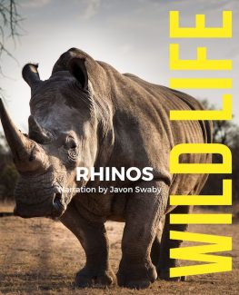 The Story of Rhinos